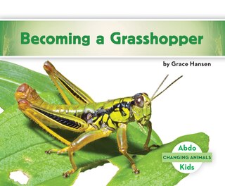 Front cover_Becoming A Grasshopper