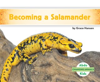 Front cover_Becoming A Salamander