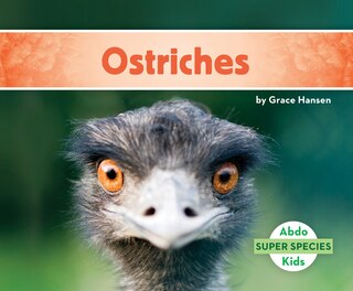 Front cover_Ostriches