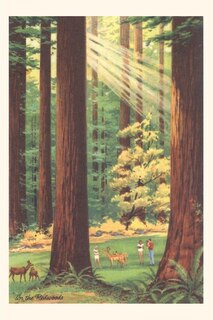 Couverture_Vintage Journal California Redwoods