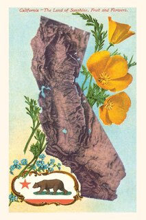Couverture_Vintage Journal California Map with Bear and Poppies