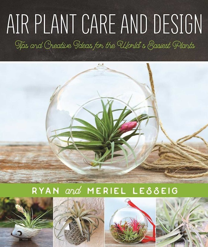 Front cover_Air Plant Care and Design