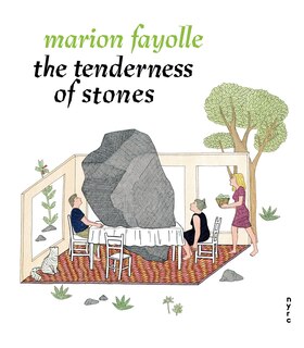 Front cover_The Tenderness Of Stones
