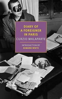 Couverture_Diary Of A Foreigner In Paris