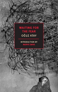 Couverture_Waiting for the Fear