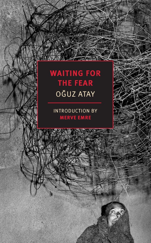 Couverture_Waiting for the Fear