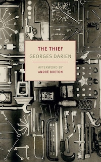 Couverture_The Thief