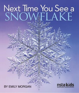 Couverture_Next Time You See a Snowflake