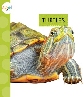 Front cover_Turtles