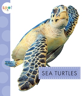 Couverture_Sea Turtles