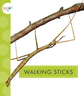 Couverture_Walking Sticks
