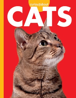 Front cover_Curious about Cats