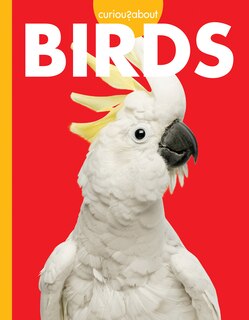 Couverture_Curious about Birds