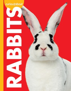 Front cover_Curious about Rabbits