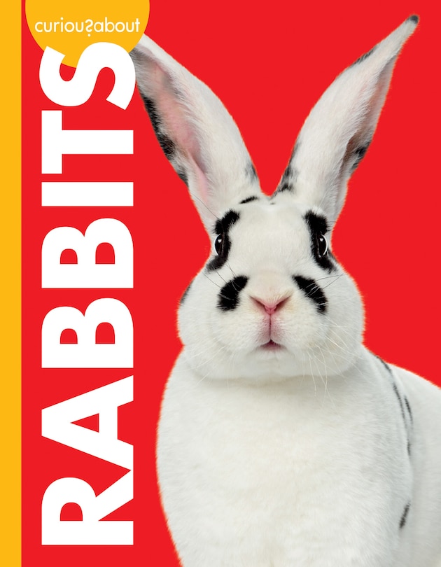 Front cover_Curious about Rabbits