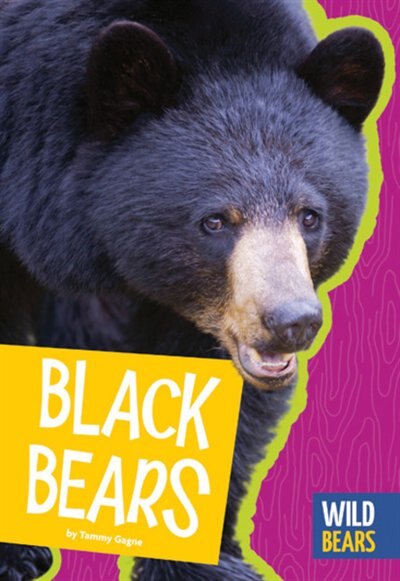 Front cover_Black Bears
