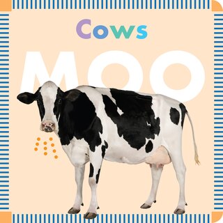 Couverture_Cows Moo