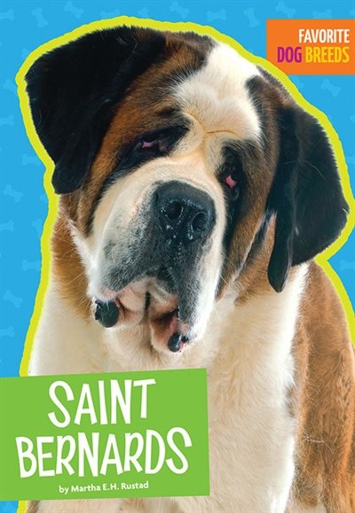 Saint Bernards