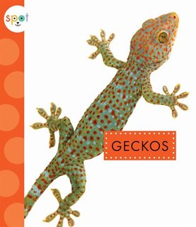 Front cover_Geckos