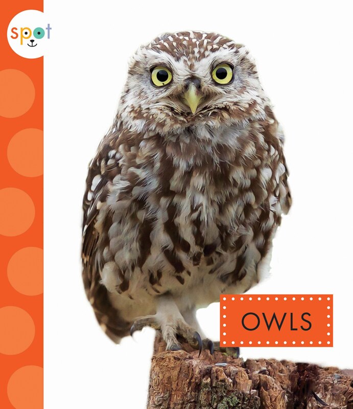 Front cover_Owls