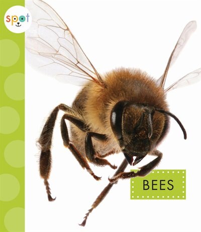 Couverture_Bees