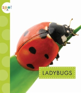 Couverture_Ladybugs