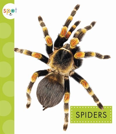 Couverture_Spiders