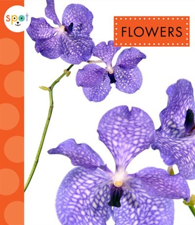 Couverture_Flowers