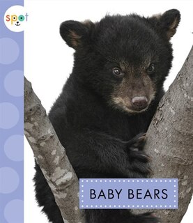 Couverture_Baby Bears