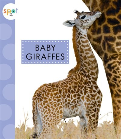 Front cover_Baby Giraffes