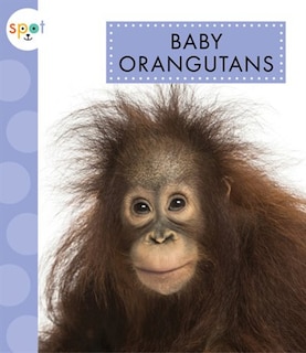 Front cover_Baby Orangutans