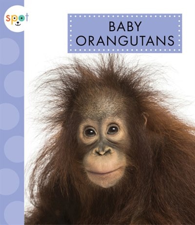 Front cover_Baby Orangutans