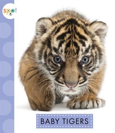 Couverture_Baby Tigers