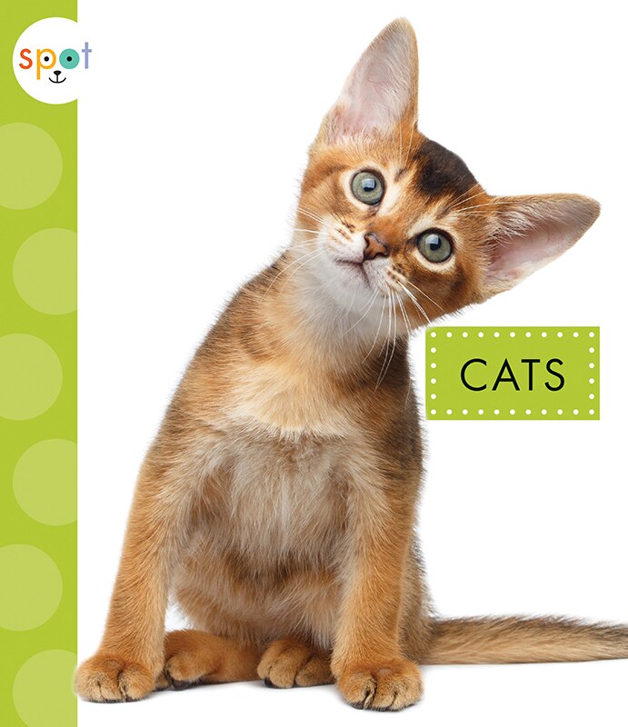 Front cover_Cats