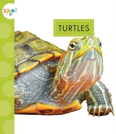 Couverture_Turtles