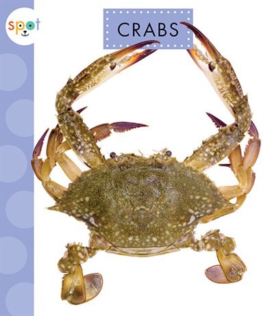 Couverture_Crabs