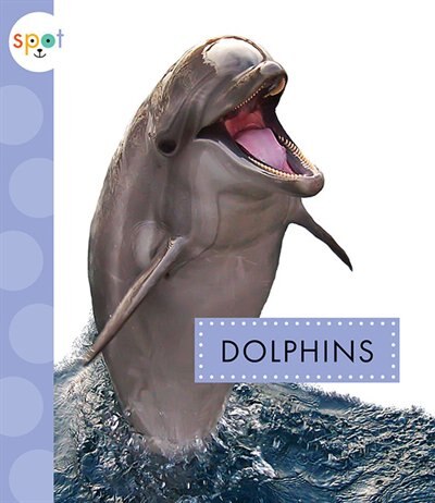 Front cover_Dolphins