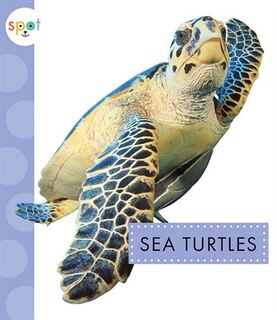 Front cover_Sea Turtles