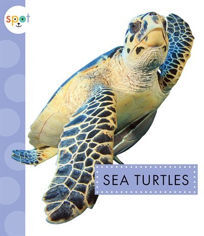 Front cover_Sea Turtles