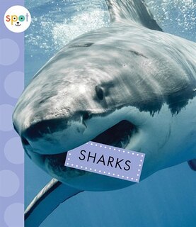 Front cover_Sharks