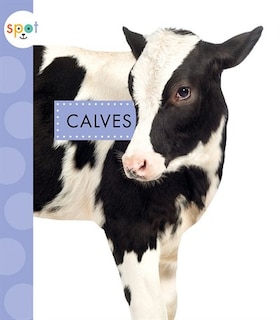 Couverture_Calves