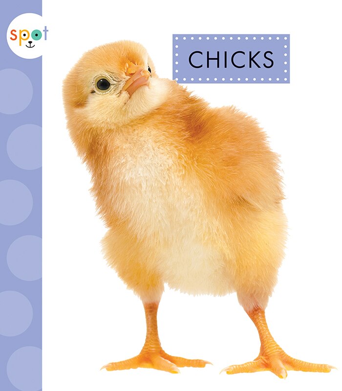 Front cover_Chicks