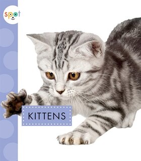 Front cover_Kittens