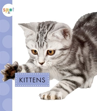Front cover_Kittens