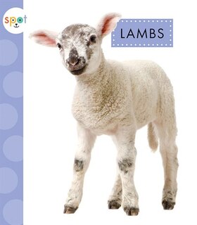 Front cover_Lambs