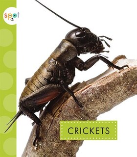 Front cover_Crickets