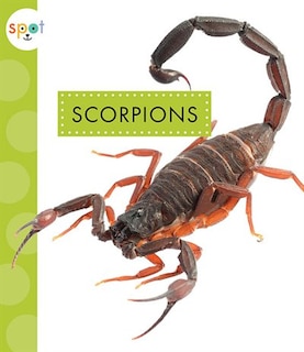 Front cover_Scorpions
