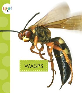 Front cover_Wasps