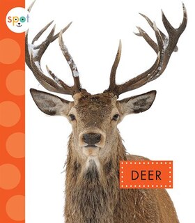 Front cover_Deer