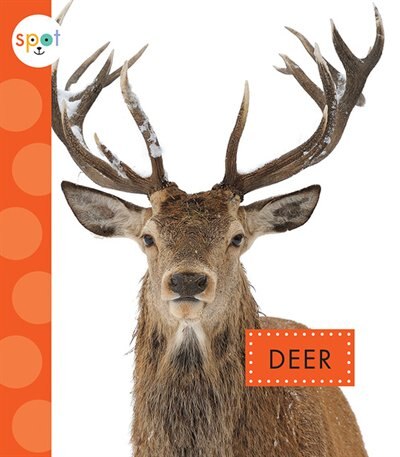 Front cover_Deer